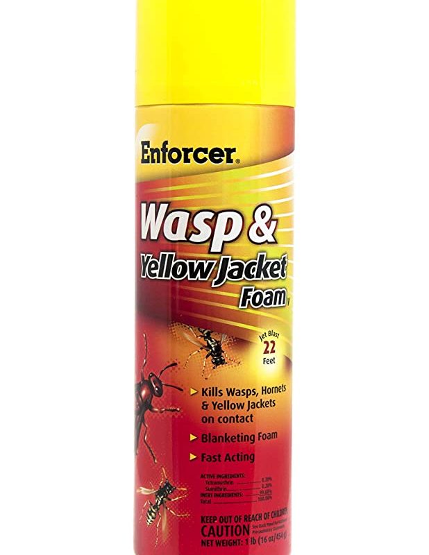 Wasp & Yellow Jacket Foam
